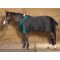   Harrys Horse Highliner 300 300 Den