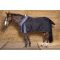   Harrys Horse Highliner 300 300 Den