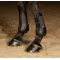  Harrys Horse Next  2 