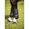  Norton Dressage 2 