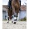  LeMieux Fleece Brushing Boots 2 