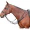    Harrys Horse