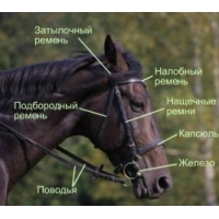 Интернет магазин