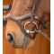  Harrys Horse Anatomic