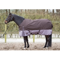    Harrys Horse Thor 2Tone 600 Den 300