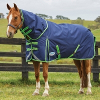 ������ ����������� �o ������� ������� ComFiTec Plus Dynamic Combo 1200 ��� 220��, WeatherBeeta