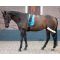  Pessoa Harrys Horse