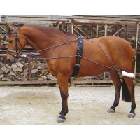  Pessoa Harrys Horse