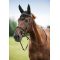  Equi-Theme Polyfil