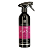      Canter Mane&Tail Carr&Day&Martin 500 