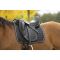   Equi-Theme Sport