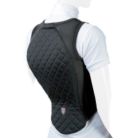   Body Protector , Tattini