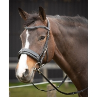 ������� ���� Harrys Horse