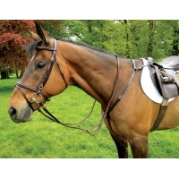   , Celtic Equine