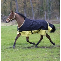      Tyrex 600D, Equi-Theme