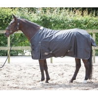   Tiger, Harrys Horse