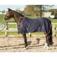  Summerrug, Harrys Horse