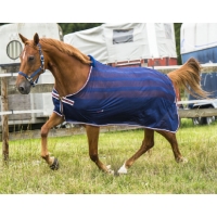  , Equi-Theme